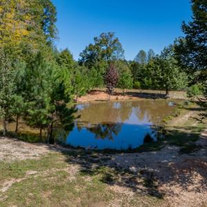 Photo #31 of 2826 Burkeville Road, Victoria, VA 86.3 acres