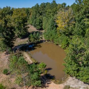 Photo #32 of 2826 Burkeville Road, Victoria, VA 86.3 acres