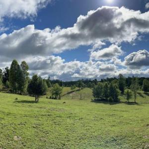 Photo #41 of 2826 Burkeville Road, Victoria, VA 86.3 acres