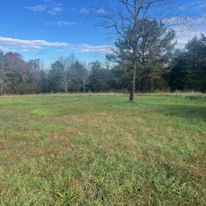 Photo #31 of 5532 Watt Abbitt Rd, Appomattox, VA 69.4 acres
