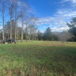 Photo #32 of 5532 Watt Abbitt Rd, Appomattox, VA 69.4 acres
