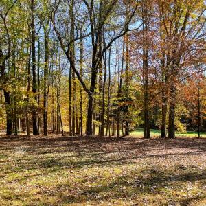 Photo #29 of 2729 Plank Rd, South Hill, VA 1.8 acres