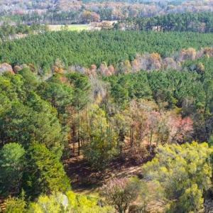 Photo #30 of 2729 Plank Rd, South Hill, VA 1.8 acres
