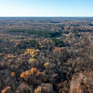 Photo #51 of 196 Fox Hill Road, Rice, VA 242.4 acres