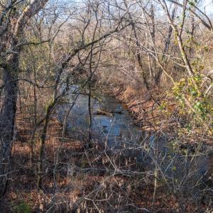 Photo #52 of 196 Fox Hill Road, Rice, VA 242.4 acres