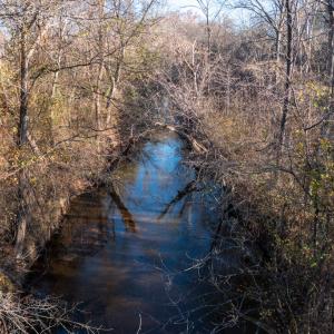 Photo #53 of 196 Fox Hill Road, Rice, VA 242.4 acres