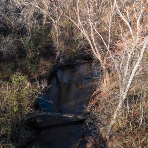 Photo #54 of 196 Fox Hill Road, Rice, VA 242.4 acres