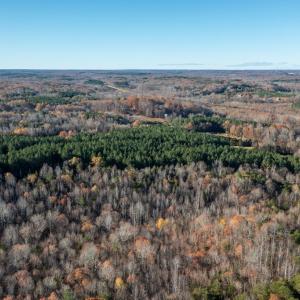 Photo #56 of 196 Fox Hill Road, Rice, VA 242.4 acres
