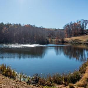 Photo #59 of 196 Fox Hill Road, Rice, VA 242.4 acres