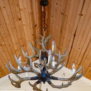 Photo #6 of 196 Fox Hill Road, Rice, VA 242.4 acres