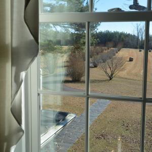 Second Bedroom View