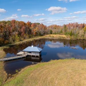 Pond View