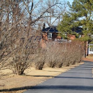 Paved Drive