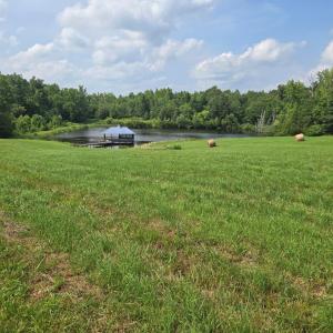 Photo #61 of 1050 Cary Shop Road, Burkeville, VA 104.0 acres