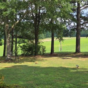 Photo #67 of 1050 Cary Shop Road, Burkeville, VA 104.0 acres