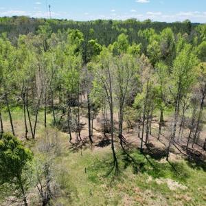 Photo #17 of 741 Lakeside Drive Ext, Blackstone, VA 10.7 acres
