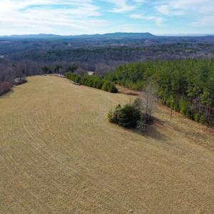 Photo #41 of 1084 Hedge Road, Chatham, VA 127.3 acres