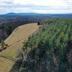 Photo #42 of 1084 Hedge Road, Chatham, VA 127.3 acres