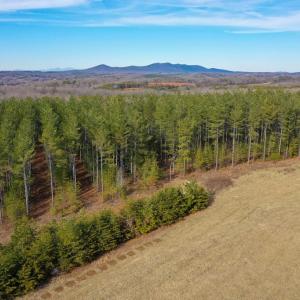 Photo #43 of 1084 Hedge Road, Chatham, VA 127.3 acres