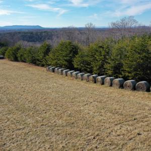 Photo #44 of 1084 Hedge Road, Chatham, VA 127.3 acres
