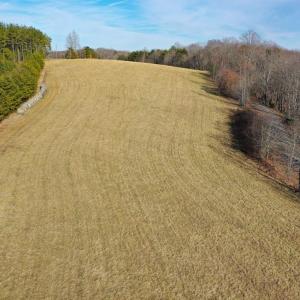 Photo #46 of 1084 Hedge Road, Chatham, VA 127.3 acres
