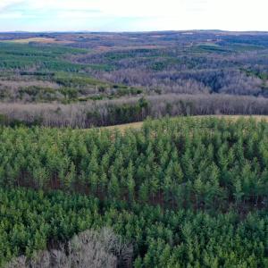 Photo #52 of 1084 Hedge Road, Chatham, VA 127.3 acres