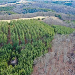 Photo #53 of 1084 Hedge Road, Chatham, VA 127.3 acres