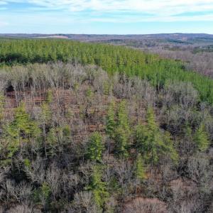 Photo #55 of 1084 Hedge Road, Chatham, VA 127.3 acres