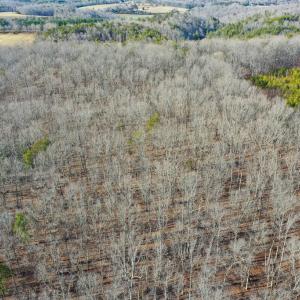 Photo #56 of 1084 Hedge Road, Chatham, VA 127.3 acres