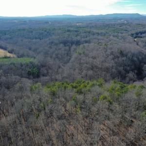 Photo #57 of 1084 Hedge Road, Chatham, VA 127.3 acres