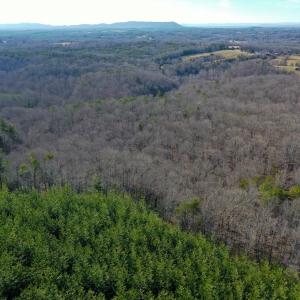 Photo #58 of 1084 Hedge Road, Chatham, VA 127.3 acres