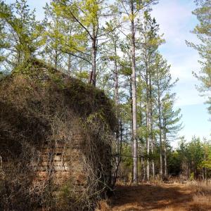 Photo #60 of 1084 Hedge Road, Chatham, VA 127.3 acres