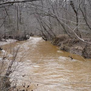 Photo #63 of 1084 Hedge Road, Chatham, VA 127.3 acres