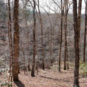 Photo #66 of 1084 Hedge Road, Chatham, VA 127.3 acres
