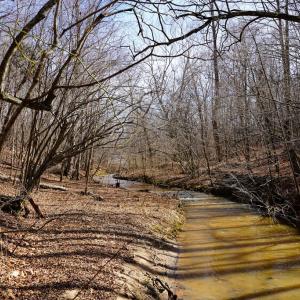 Photo #67 of 1084 Hedge Road, Chatham, VA 127.3 acres
