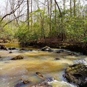 Photo #68 of 1084 Hedge Road, Chatham, VA 127.3 acres