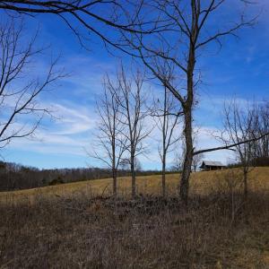 Photo #70 of 1084 Hedge Road, Chatham, VA 127.3 acres