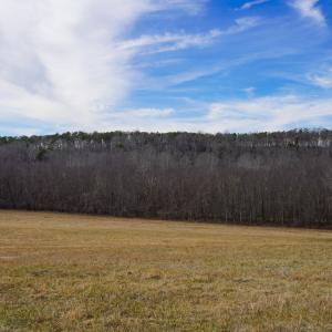 Photo #71 of 1084 Hedge Road, Chatham, VA 127.3 acres