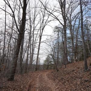 Photo #72 of 1084 Hedge Road, Chatham, VA 127.3 acres