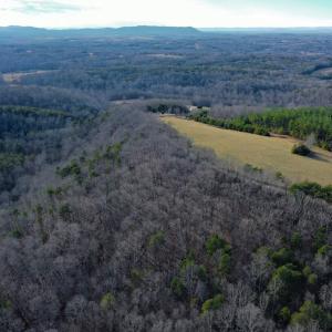 Photo #40 of 1084 Hedge Road, Chatham, VA 127.3 acres