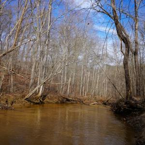 Photo #62 of 1084 Hedge Road, Chatham, VA 127.3 acres
