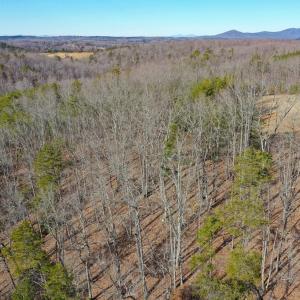 Photo #69 of 1084 Hedge Road, Chatham, VA 127.3 acres