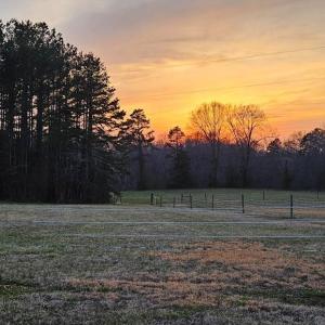 Photo #10 of 13521 Dykeland Road, Amelia Court House, VA 9.2 acres