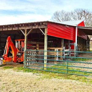 Photo #15 of 13521 Dykeland Road, Amelia Court House, VA 9.2 acres