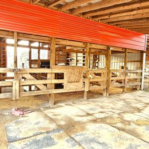 Photo #16 of 13521 Dykeland Road, Amelia Court House, VA 9.2 acres