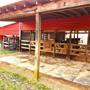 Photo #17 of 13521 Dykeland Road, Amelia Court House, VA 9.2 acres