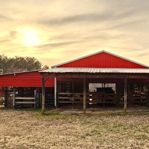 Photo #18 of 13521 Dykeland Road, Amelia Court House, VA 9.2 acres