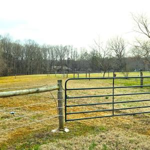 Photo #20 of 13521 Dykeland Road, Amelia Court House, VA 9.2 acres