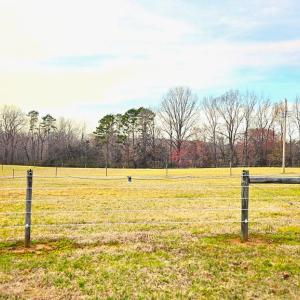 Photo #21 of 13521 Dykeland Road, Amelia Court House, VA 9.2 acres