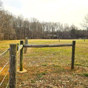 Photo #22 of 13521 Dykeland Road, Amelia Court House, VA 9.2 acres